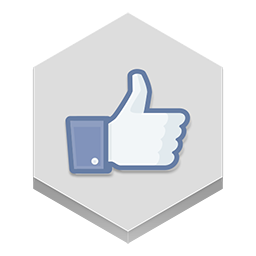 Facebook Like Icon 256x256 png